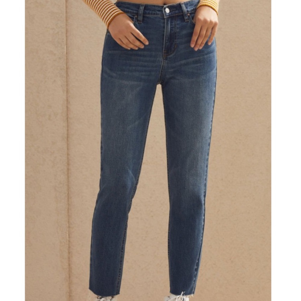 PacSun Mitchell blue vintage icon mom jeans